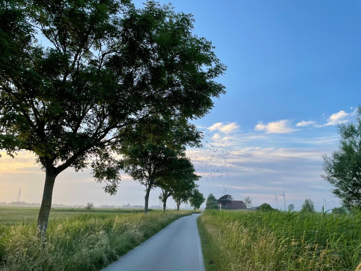 Meerwunder Schillig Buitenkant foto